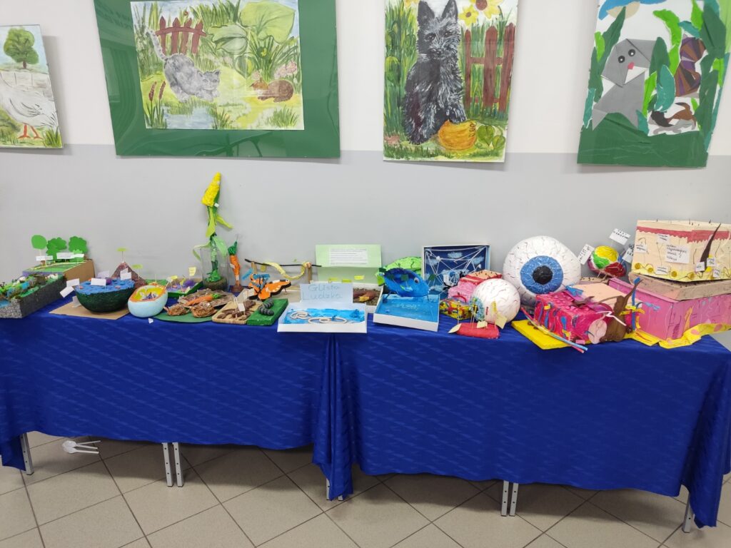 Innowacja biologiczna „Modelowanie w biologii”