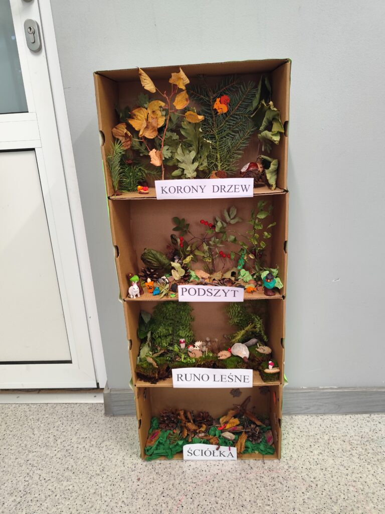 „Warstwy lasu” – makieta uczniów klasy 3