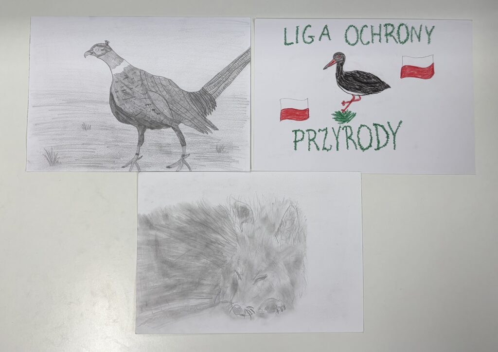 Konkurs plastyczny na projekt znaczka pocztowego