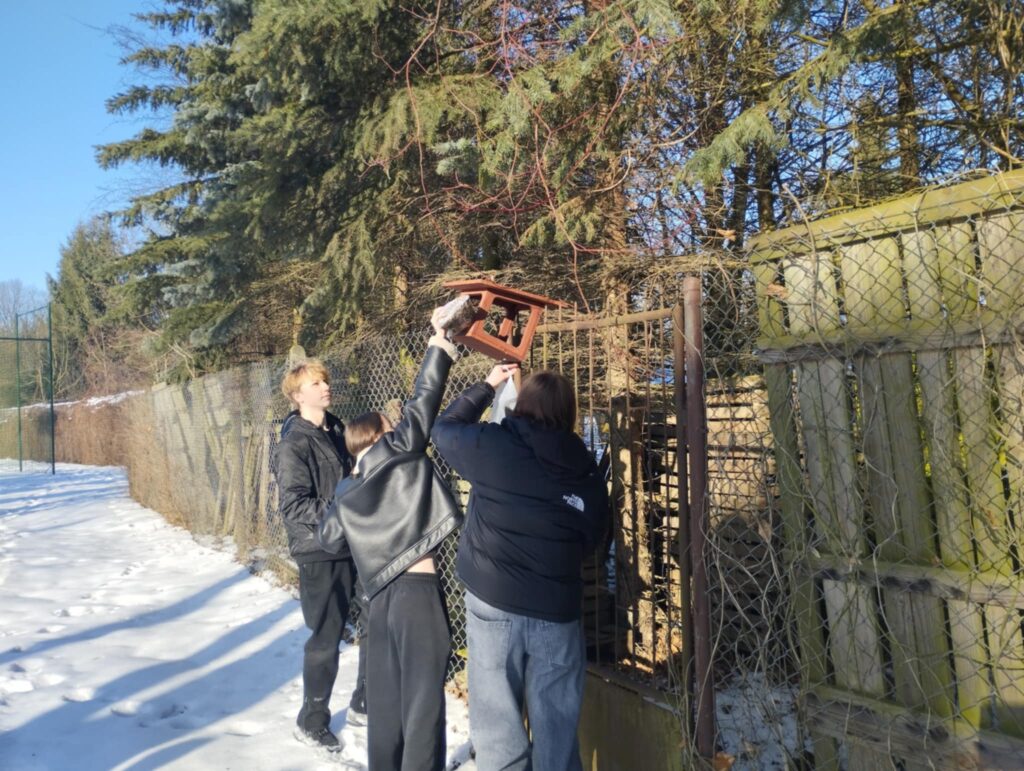 🐦 Zimowa pomoc dla ptaków ❄️