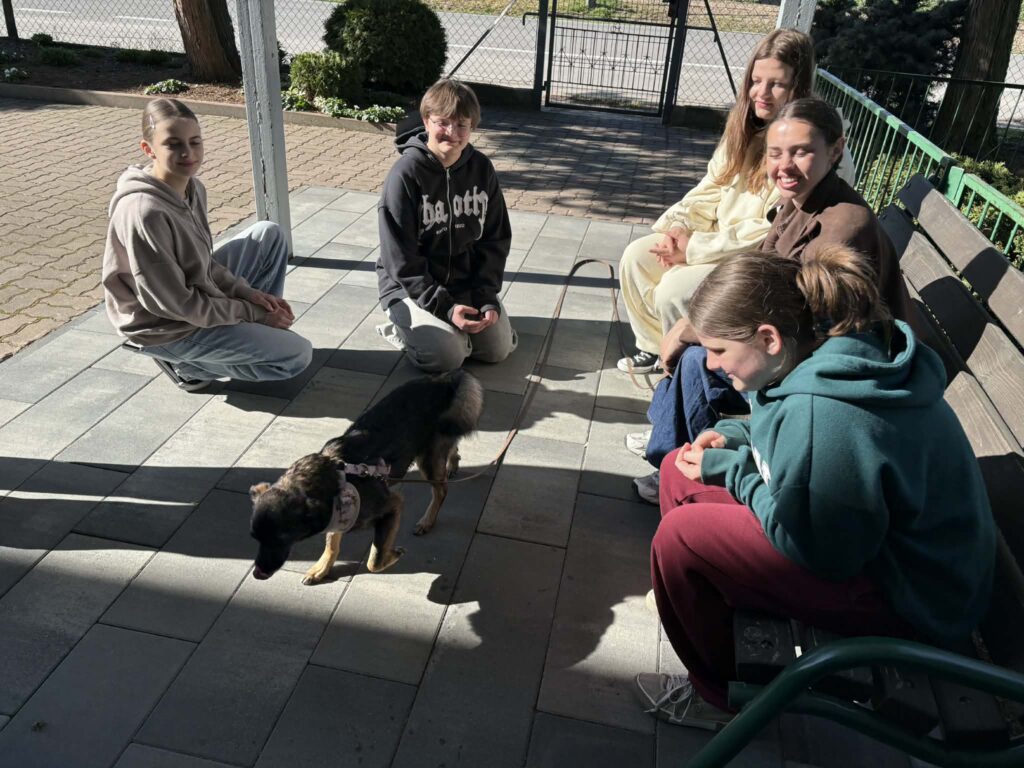 Spotkanie z Pieskiem oraz Wolontariuszami 🐶